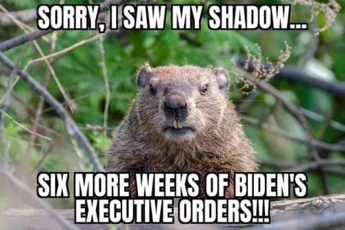 00:49:22 GMT-0800 (PST).image