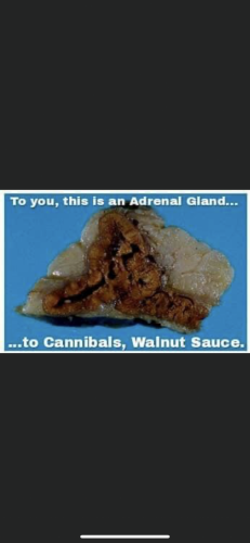 01:52:09 GMT-0600 (CST).image