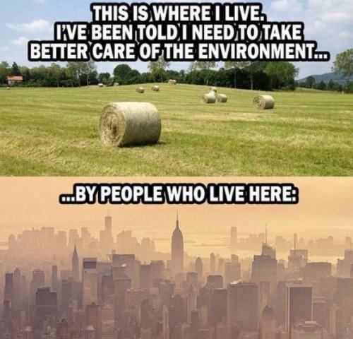 climatetards01