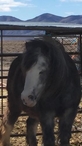 14:44:31 GMT-0800 (PST).image