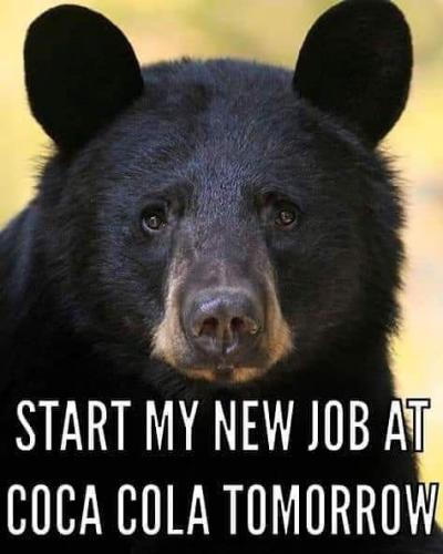 14:23:57 GMT-0600 (CST)