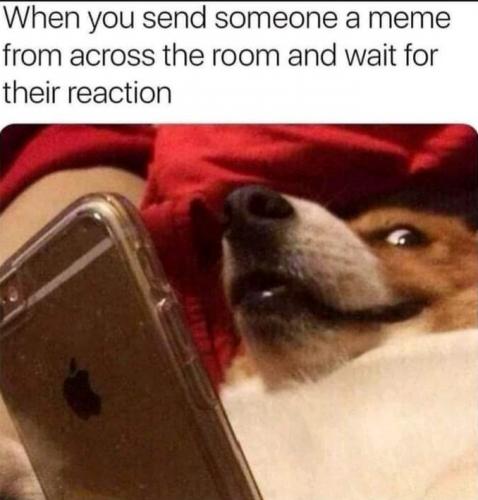 17:46:05 GMT-0500 (EST)