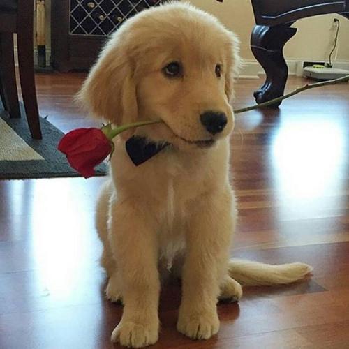 23:25:11 GMT+0100 (WAT)