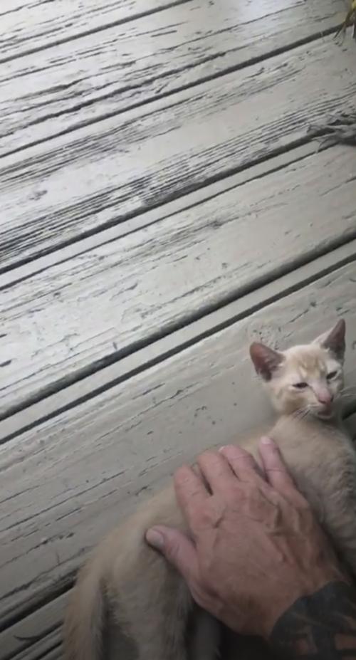 09:51:24 GMT+0100 (WAT).image