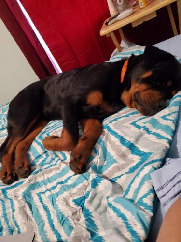 17:00:48 GMT-0800 (PST)