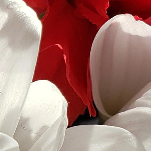 10:55:17 GMT-0500 (EST)