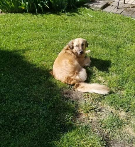 14:36:41 GMT-0700 (MST)