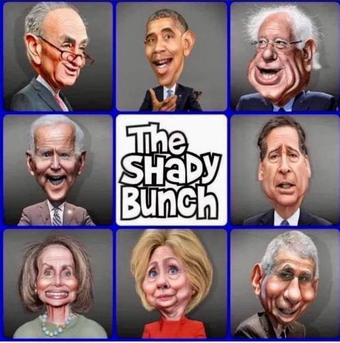 The Shady Bunch - political meme