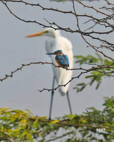 149815614_1797287000437504_1646840853053919470_o