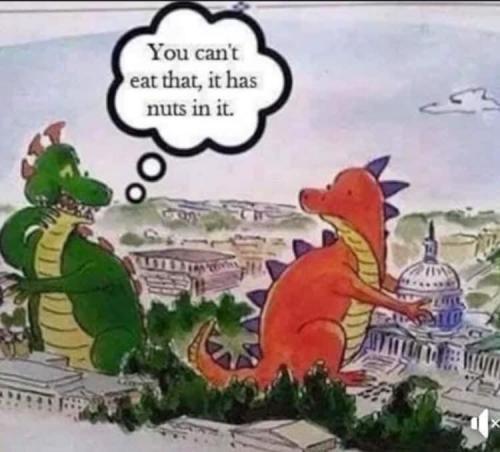 144586185_237841901275032_1566719143107730080_n