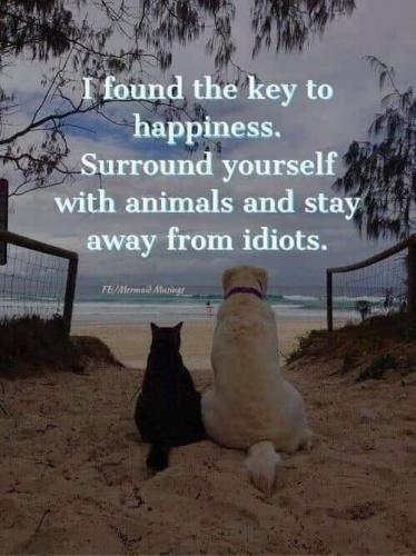 17:59:35 GMT-0600 (CST)