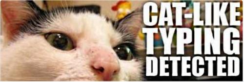 cat like typing detected1