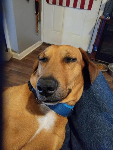 18:50:22 GMT-0600 (CST)