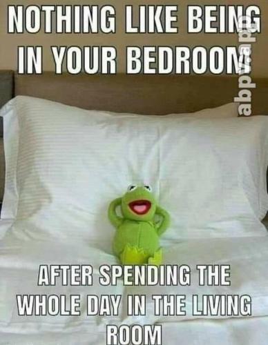 21:33:43 GMT-0800 (PST).image