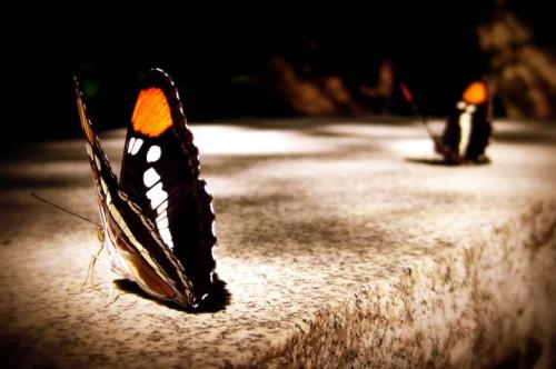 21:39:30 GMT-0800 (PST)