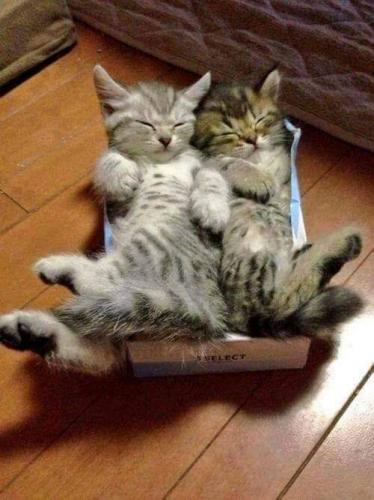 20:24:07 GMT-0600 (CST)