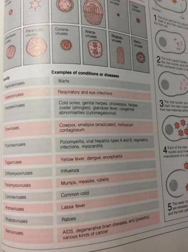 16:38:21 GMT-0500 (EST).image