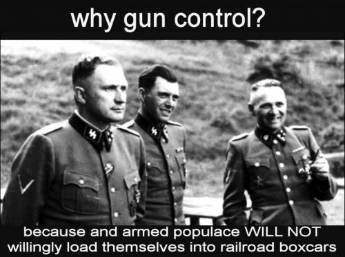 gun control61b