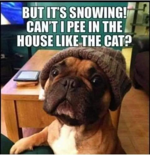 16:50:47 GMT-0500 (EST)