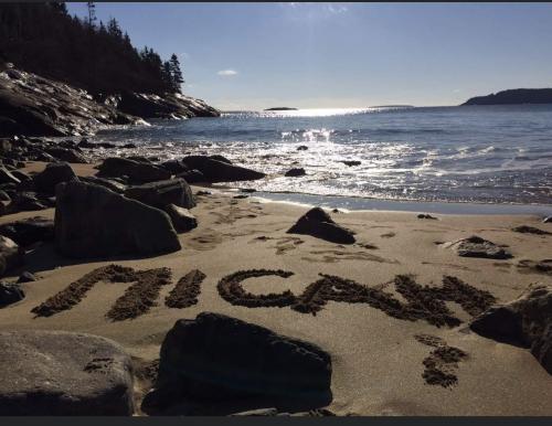 16:08:49 GMT-0500 (EST).image