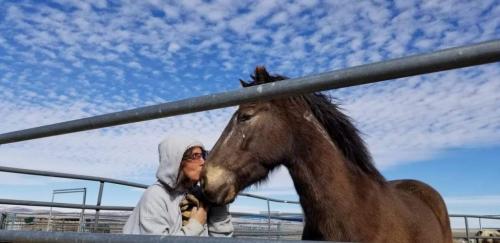 19:56:20 GMT-0800 (PST).image