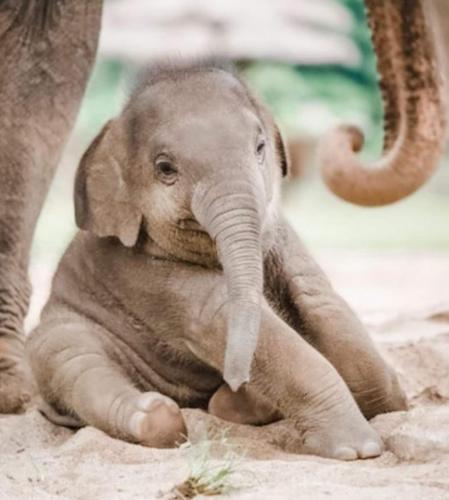 22:32:55 GMT-0600 (CST)