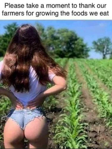 12:23:44 GMT-0600 (CST)