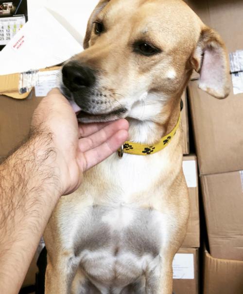 02:22:41 GMT+0100 (WAT).image