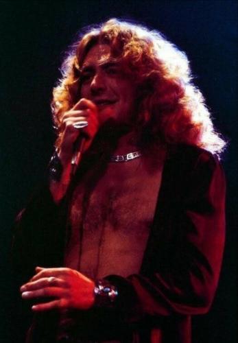 tumblr_420145b3905b34fc3e55cee056f66247_86bf5482_540