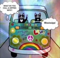 21:42:57 GMT-0600 (CST)