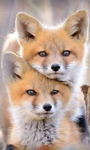 06:39:44 GMT-0600 (CST)