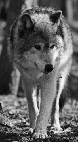 3e83522344b81daa19f6b6fa9006ad2c