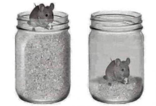 150288082_10214700400184081_6909016389269988262_n