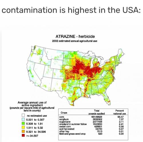 12:00:48 GMT-0500 (EST)