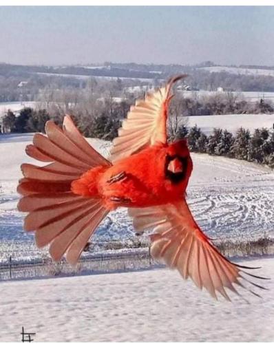 06:14:03 GMT-0800 (PST)