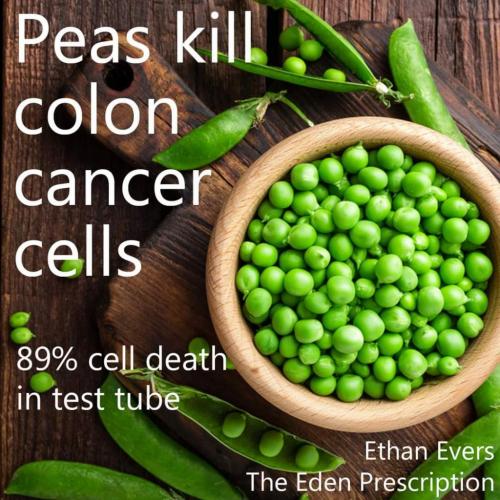 17:52:52 GMT-0700 (MST)