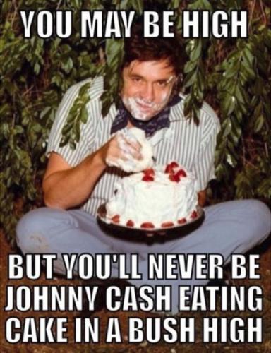eating cake in a bush high00