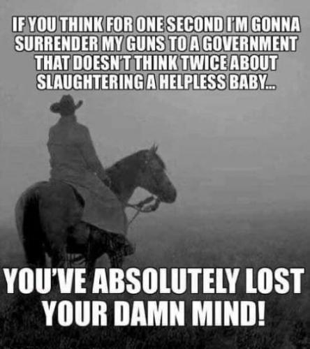 if you think that i am going to surrender my guns