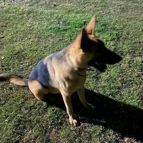 20:49:02 GMT+0100 (WAT)