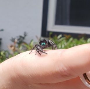 21:31:10 GMT-0800 (PST)