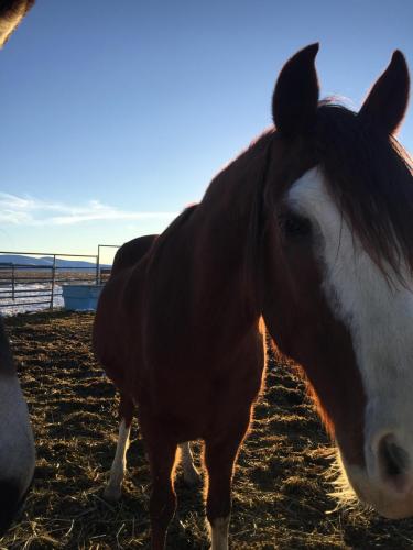 07:41:04 GMT-0800 (PST).image