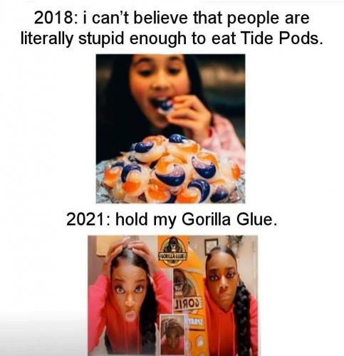 gorillaglue00