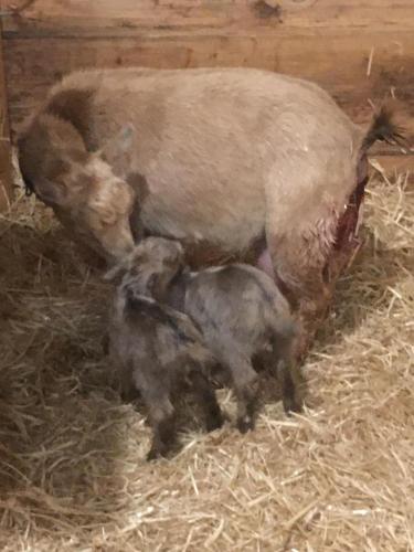 F0EE0057-6E13-4AFF-9523-28A7F6E34C6D