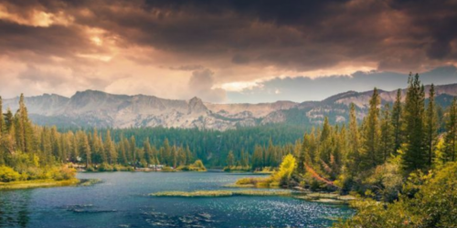 Screenshot 2021-02-10 at 6.57.09 AM