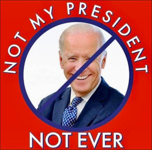 biden390