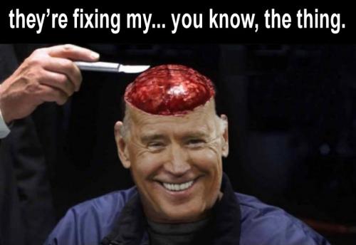 biden378