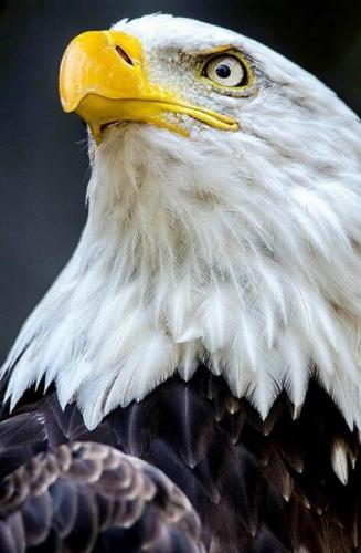 153177962_1519018368297508_5318605365183356310_n