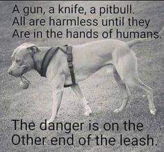 10:14:40 GMT-0600 (CST)