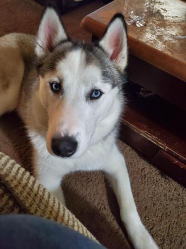 13:47:14 GMT-0500 (EST)