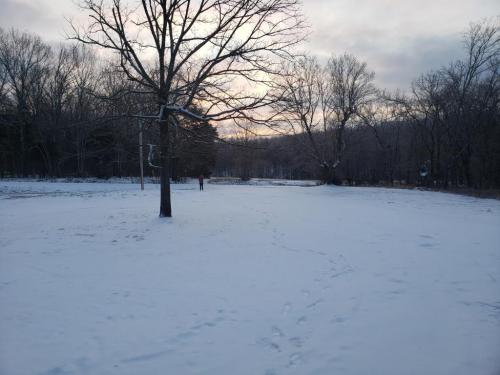 10:30:29 GMT-0600 (CST)